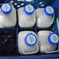 <p>Hours-old milk from Battenkill Valley Creamery in Salem, N.Y., on a doorstep in Clifton. Next step: putting it in a container with ice to keep it at 45 degrees.</p>