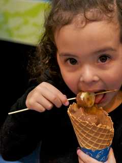 Chocolate Festival For Teens At Hasbrouck Heights Library