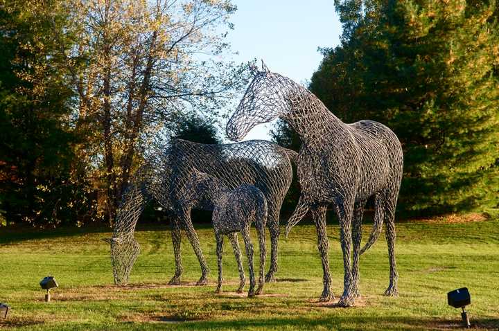 Sculptures at Brookfield Municipal Center.