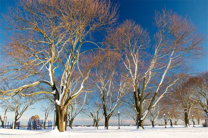 Snow covers the ground and tress at Calf pasture Beach in Norwalk.