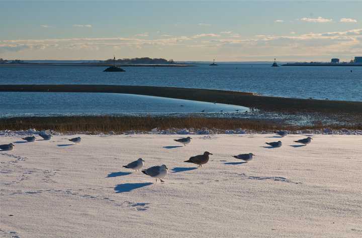 Brace for more snow, like this dusting at Calf Pasture Beach in Norwalk after last Friday&#x27;s snow.