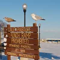 <p>Seagulls greeted visitors who drive through Calf Pasture Beach after Friday&#x27;s snowstorm.</p>