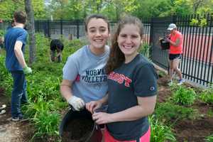Norwalk High Students, Teachers Get Their Hands Dirty For Campus Cleanup