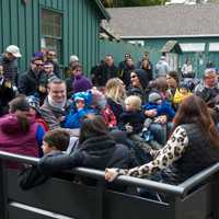 <p>People take off on a hay ride at Harvest Festival.</p>