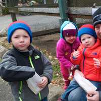 <p>There were lots of family activities, and lots of animals, at the Stamford Museum &amp; Nature Center&#x27;s Harvest Festival over the weekend.</p>