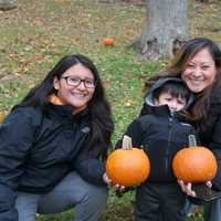 <p>There were lots of family activities, and lots of animals, at the Stamford Museum &amp; Nature Center&#x27;s Harvest Festival over the weekend.</p>