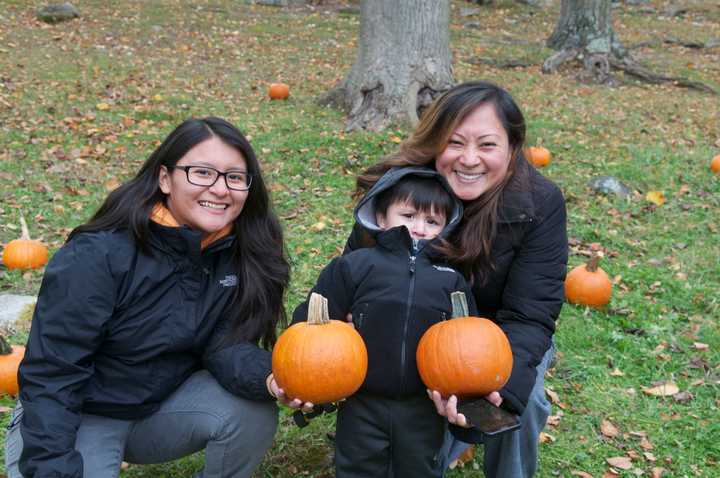 There were lots of family activities, and lots of animals, at the Stamford Museum &amp; Nature Center&#x27;s Harvest Festival over the weekend.