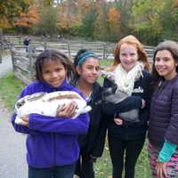 <p>There were lots of family activities, and lots of animals, at the Stamford Museum &amp; Nature Center&#x27;s Harvest Festival over the weekend.</p>