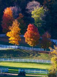 Fall Foliage Eye Candy Nearing Peak Conditions In Dutchess County