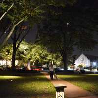 <p>A Ridgewood resident walking his dog and checking out the new lighting preview in Van Neste Square.</p>