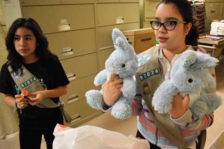 Northvale Scouts Collecting Stuffed Animals For Kids In Crisis