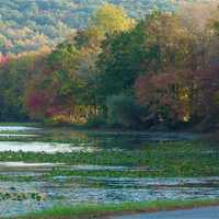Woman Injured While Hiking Rescued At DeForest Lake