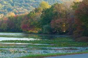 Woman Injured While Hiking Rescued At DeForest Lake