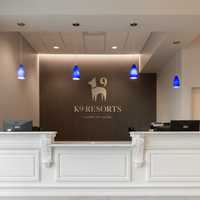 Luxury Pet Resort Opens In Emerson