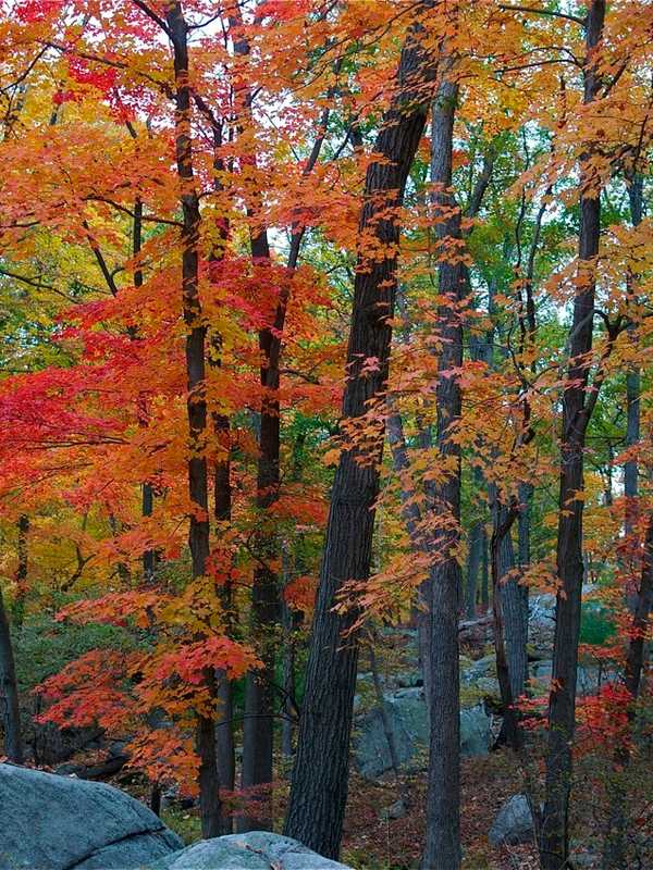 October Shatters Heat Records Near And Far