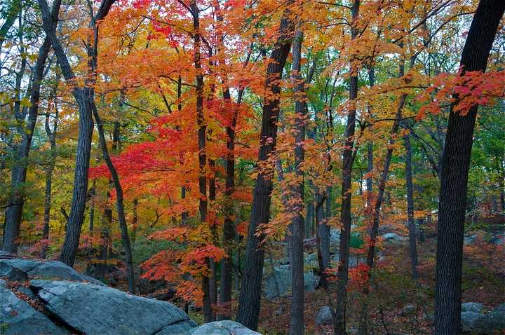 Warmer fall temperatures in the region was part of a trend seen globally, according to both NASA and the Japan Meteorological Agency.