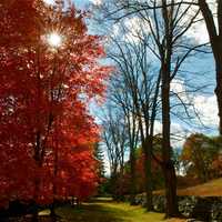 <p>The dazzling show that is autumn in New York is well underway, and there aren&#x27;t many places that can match northern Westchester County for putting on a great display. Pictured: fall colors, Somers.</p>