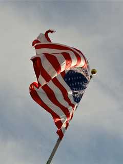 Felician University To Honor Veterans
