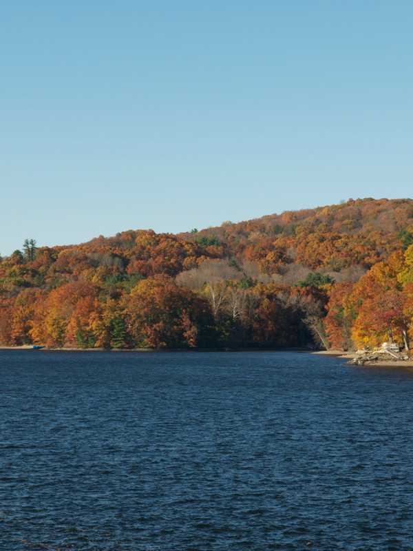 Chemical Treatment To Attack Nuisance Plants In Lake Zoar In Monroe