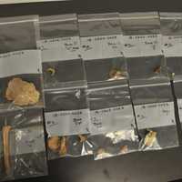 Human Bones Found On Top Of Gravesites At Historic Stamford Cemetery