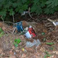 <p>Mount Vernon resident Juan Valdovinos was charged with illegal dumping after being busted by an off-duty police officer.</p>