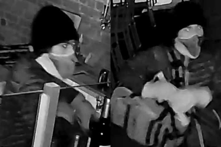 Liquor Stolen From Newton Pizzeria Plagued By Back-To-Back Break-Ins: Police