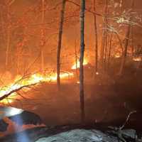 <p>Flames spread through a dark and steep wooded area in Auburn</p>