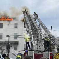 Cat Killed In 2-Alarm Fire That Scorched Roof Of Lynn Condo Building: Officials