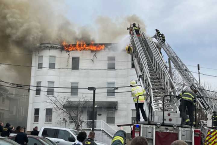 Cat Killed In 2-Alarm Fire That Scorched Roof Of Lynn Condo Building: Officials