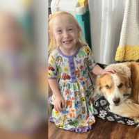 <p>Hope and Archie are both battling kidney disease at the same time</p>