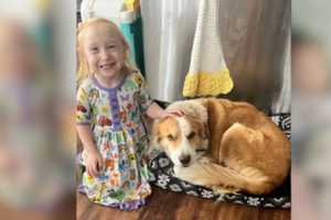 Sutton Mother In 'Shock' As Young Daughter, Dog Both Combat Kidney Disease