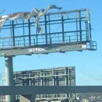 Gone With The Wind: Boston-Area Billboard Gets Shredded By Frigid Gusts