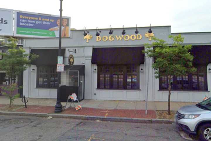 The Dogwood In Boston's Jamaica Plain Neighborhood Closing After Nearly 30 Years