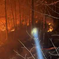 <p>Fire spreads through a dark and steep wooded area in Auburn</p>