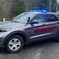 'Unconscionable Act': Video Of Kids Beating Classmate In Central Mass Woods Posted Online