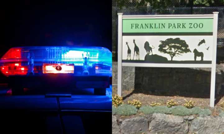 The woman was reportedly stabbed while walking her dog in Franklin Park Tuesday night