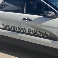 Pedestrian Seriously Hurt After Car Crashes Into Needham Telephone Pole: Police