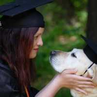 Blind Massachusetts Native 'Harnessing Sight' On Service Dogs & Disabilities