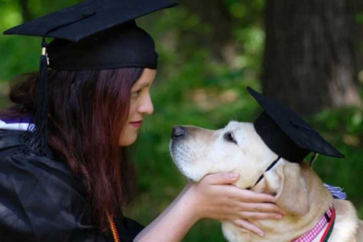 Blind Canton Native 'Harnessing Sight' On Service Dogs & Disabilities