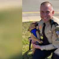 K9 Puppy Makes 'Paw-sitive' Recovery Of Man Struggling With Mental Health