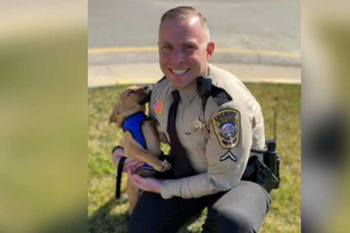 K9 Puppy Makes 'Paw-sitive' Recovery Of Man Struggling With Mental Health