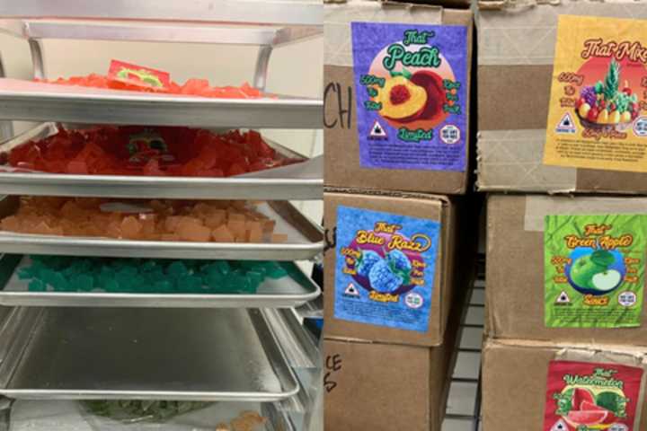 Drug Bakery: Braintree Police Find $100K Worth In THC Candy At Local Business