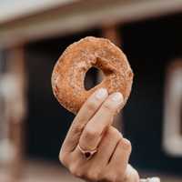 Best Places To Get Apple Cider Doughnuts In Greater Boston Area