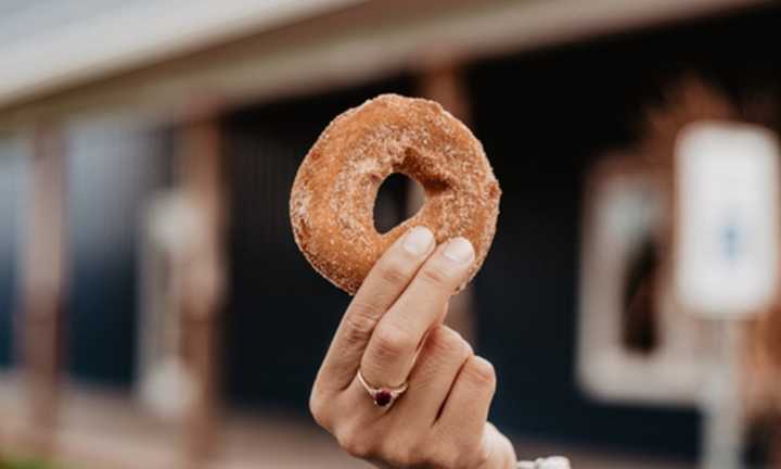 Person holding an apple cider doughnut