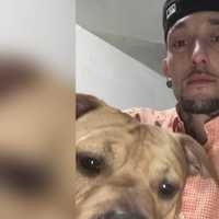 Baltimore Motorcyclist Who Wasn't Wearing Helmet Dies From Glen Burnie Crash: Police