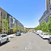 Person Hospitalized After Fight Breaks Out In Alexandria Neighborhood: Police