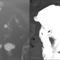 2 Days, 5 Break-Ins: Westborough Police Investigating Series Of Robberies