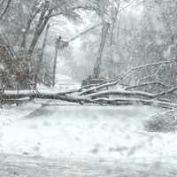 Nor'Easter: Thousands Without Power As Heavy Winds, Snow Pelt Massachusetts