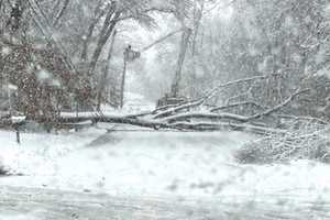 Nor'Easter: Thousands Without Power As Heavy Winds, Snow Pelt Massachusetts