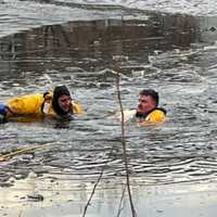 DON'T WALK ON ICE: Dog Dies After Falling Through Semi-Frozen Everett River